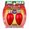 Magic Seasons Magic Seasons Christmas Big Bulb Flashing Earrings Plastic 1 pk 702442 - alternate 1